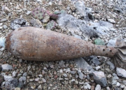 Житель Приднестровья обнаружил в собственном дворе мину времен Великой Отечественной  