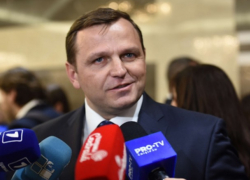 Нэстасе: Проблема не в кошках