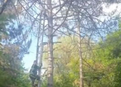 Молдавские спасатели бросились на помощь отчаянно цеплявшейся за жизнь