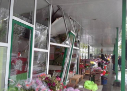 В центре Кишинева дерево упало на цветочный бутик