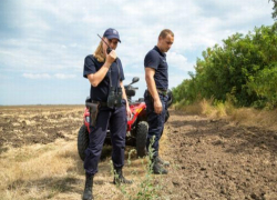 Гражданин Узбекистана сильно удивил молдавских пограничников - его пришлось задержать