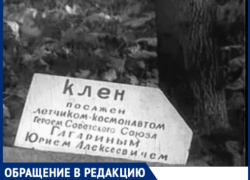 Дерево Гагарина в Кишиневе: табличка установлена не там - "Кадетское Братство"