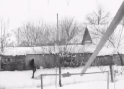 В Гидигиче изувер впряг маленьких собачек в сани и заставил их везти себя, понукая кнутом