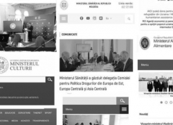 Из-за траура в Молдове сайты госорганов сделали в черно-белых цветах