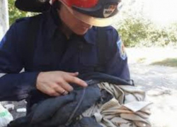 Молдавские спасатели провели спецоперацию по спасению кошек