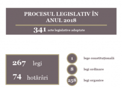 Парламент Молдовы утвердил 341 законодательный акт в 2018 году