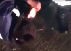 Жестокое избиение задержанного водителя в Окнице попало на видео