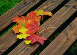 В субботу жителей Молдовы ожидает похолодание, местами возможны дожди  