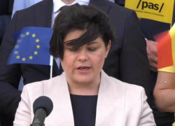 Гаврилица снова зазывает диаспору домой