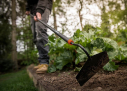 Смертельное избиение мужчины мотыгой совершил разъяренный рабочий в Бричанском районе