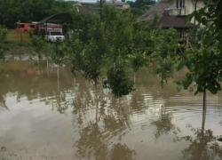 Проливные дожди ударили по садам севера Молдовы
