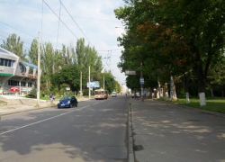 Шок! В Кишиневе дворовому коту отрезали голову (18+)