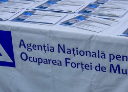 Что делать безработным в Молдове 