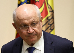 Портал RISE написал о бизнесе премьера: контроль над крупнейшим производителем туалетной бумаги в Украине 