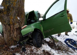 Автомобиль врезался в дерево в Унгенском районе: пострадала молодая женщина-водитель