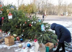 Украинцы повалили на землю и разграбили главную новогоднюю ёлку города