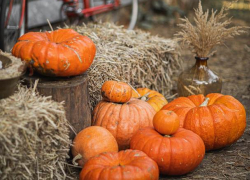 Четверг в Молдове будет теплым и солнечным 