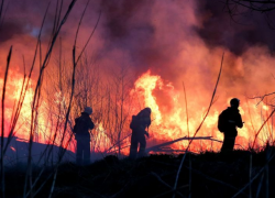 Десятки пожаров зарегистрированы по всей республике за последние 24 часа