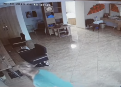 Пришла на стрижку и решила заработать: в столице ищут неизвестную, обокравшую парикмахерскую