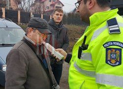 Водителю из Молдовы пришлось дуть в алкотестер после того, как он снес румынское дерево 