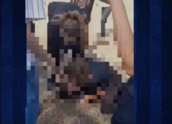 В Сорокском районе школьницы устроили драку на перемене: конфликт тянется с лета