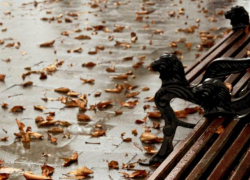 В четверг в Молдове сохранится дождливая погода 