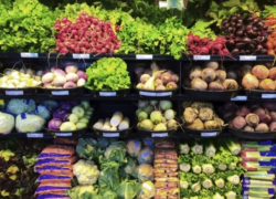 Экономика ниже плинтуса: в Молдове импорт сельхозпродукции превысил ее экспорт