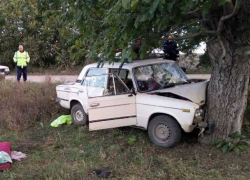 Автомобиль врезался в дерево в Фалештах: пострадали два человека