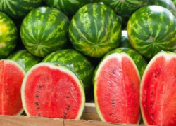 В Молдове множество занитрированных арбузов и дынь. ANSA призывает к внимательности