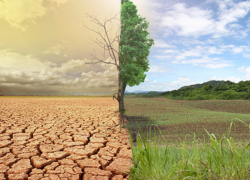 Молдавское правительство озабочено изменением мирового климата