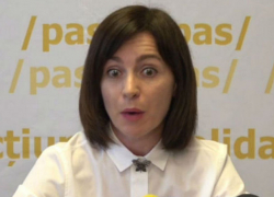 «Любопытная особь Майя Григорьевна»: несколько слов о том, как Санду борется с Плахотнюком