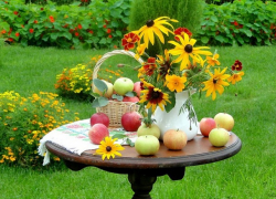 Полный штиль и на небе ни облачка: погода в воскресенье 