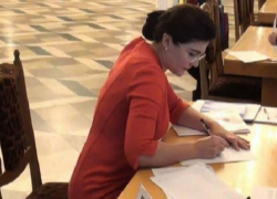 Сильвия Раду: Нет-нет, я не с демократами, просто так получилось, они позвали, и я согласилась 