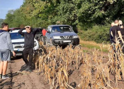 Пропавшего жителя Новых Анен нашли мертвым в лесу 