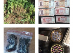 Онлайн-магазины с особым товаром: преступники продавали наркотики при помощи интернета