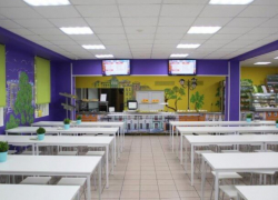 Правительство не хочет кормить детей в школах