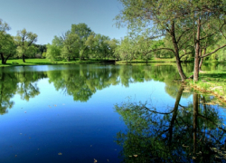 Ион Чебан: Примэрия Кишинева не в ответе за Summer Fest в Ботаническом саду