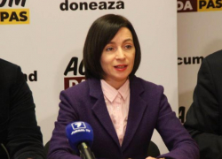 Премьер-министр Майя Санду прокомментировала отставку Влада Плахотнюка