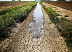Среда будет жаркой – погода в Молдове 