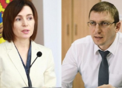 Майя Санду призналась в том, что получила деньги на предвыборную кампанию от брата Виорела Мораря