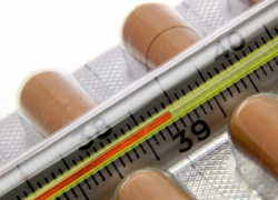 В Кишиневе от вируса гриппа AH1N1 скончалась 59-летняя женщина 