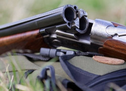 Охотники до чужого винограда подстрелили охранника