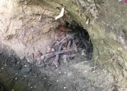 Стало известно, кому принадлежат обнаруженные у посольства США останки