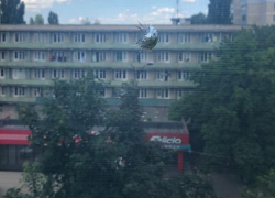 Соцсети: В Кишиневе на Ботанике неизвестные стреляют из пневматики по окнам жилых домов