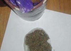 Заключенному тюрьмы "Прункул" принесли мед с наркотиками 