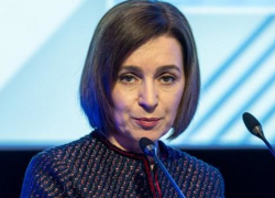 Свиная чума в Молдове: Санду требует прекратить дезинформацию и обещает компенсации