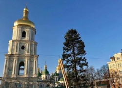 "Сбежавшая из Молдовы" позорная ёлка, установленная в Киеве, стала предметом массовых издевательств 