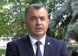 Правительство намерено восстановить сектор семеноводства в Молдове
