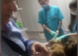 Павел Дуганов: в Кишиневе во дворах водители сбивают собак и уезжают