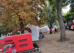 На Дне вина из-за торговых палаток пострадали зеленые насаждения в парке Кафедрального собора